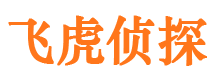 通河外遇调查取证